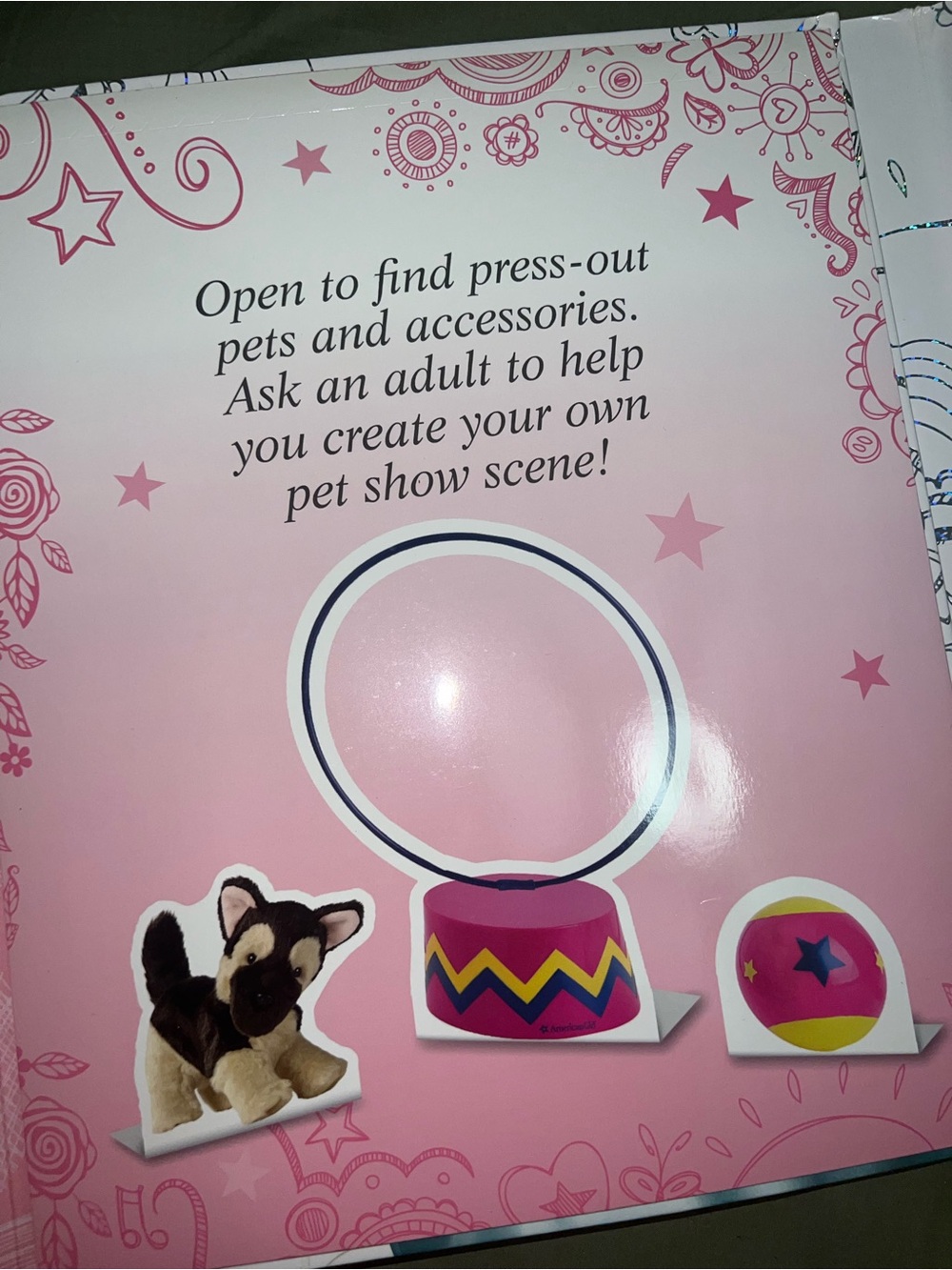 American Girl Ultimate Visual Guide - 2016 - Picture 4 of 5